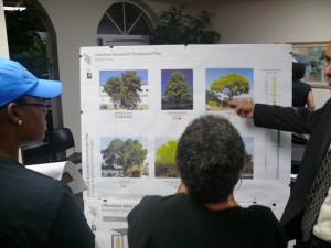 A pictorial board shows the variety of trees being considered for the Crenshaw District. Photo by Brian W. Carter