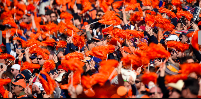 Broncos Fans Celebrate!