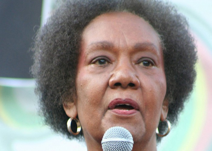 Dr. Frances Cress Welsing is noted for her “Cress Theory of Color Confrontation,” which explores the practice of White supremacy. This photograph was taken during 10th Annual National Black L.U.V. Festival in Washington D.C. on September 21, 2008. (Elvert Xavier Barnes Photography/Creative Commons)