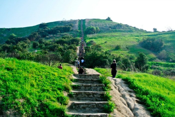 Baldwin Hills Scenic Overlook (La Sentinel/ Brian W. Carter)