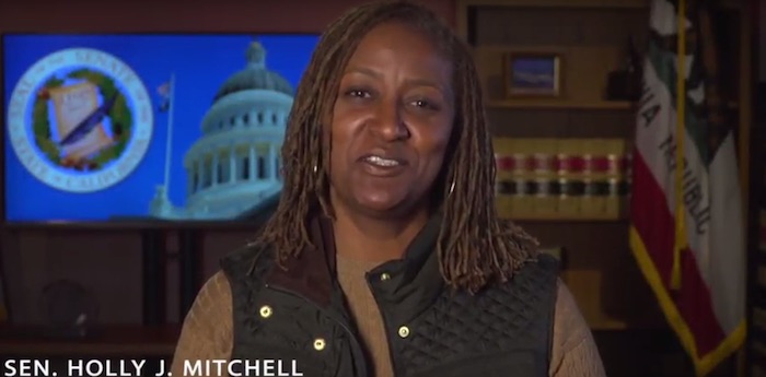 Sen. Holly J. Mitchell takes apart the ‘Welfare Queen’ myth