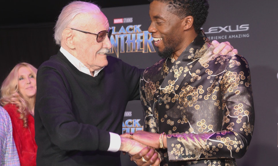 Black Panther, Incredible Hulk, Spider Man Creator Stan Lee Dies at 95