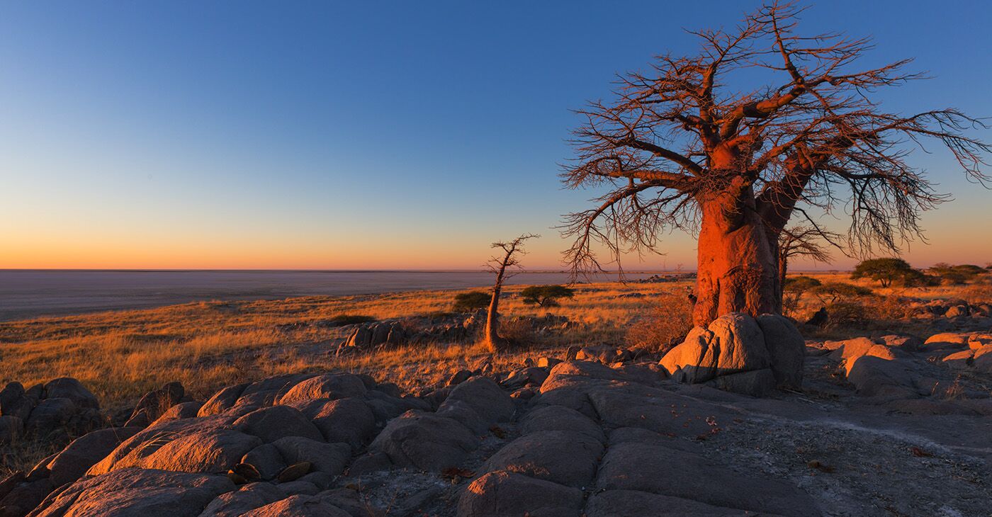 Australian Researchers Say Botswana is Ancestral Home of Modern Humans