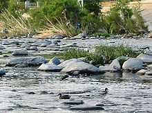 2 LA River Recreation Areas Set To Reopen On Memorial Day