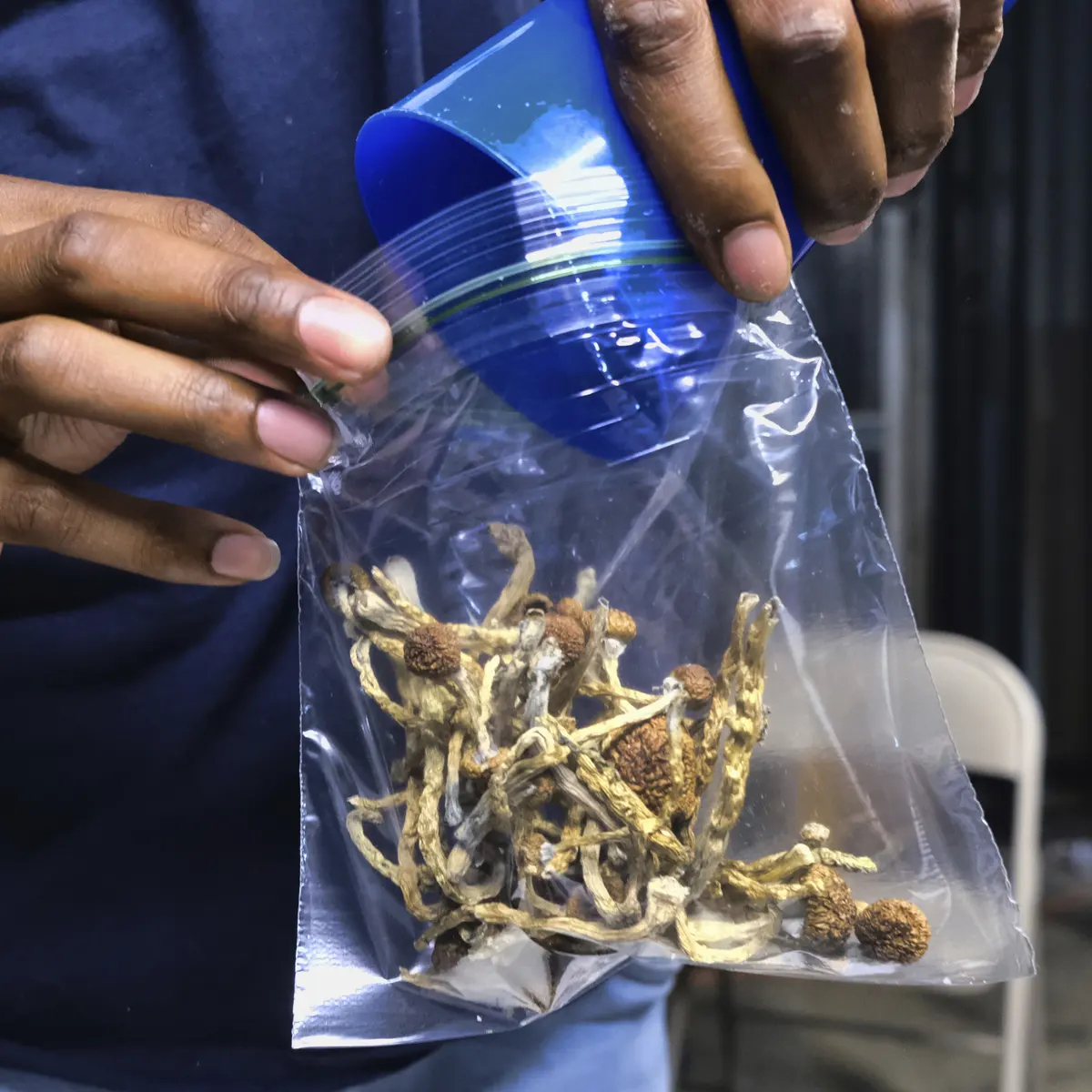 California Could Decriminalize Drug “Magic Mushrooms” as Early as Next Year