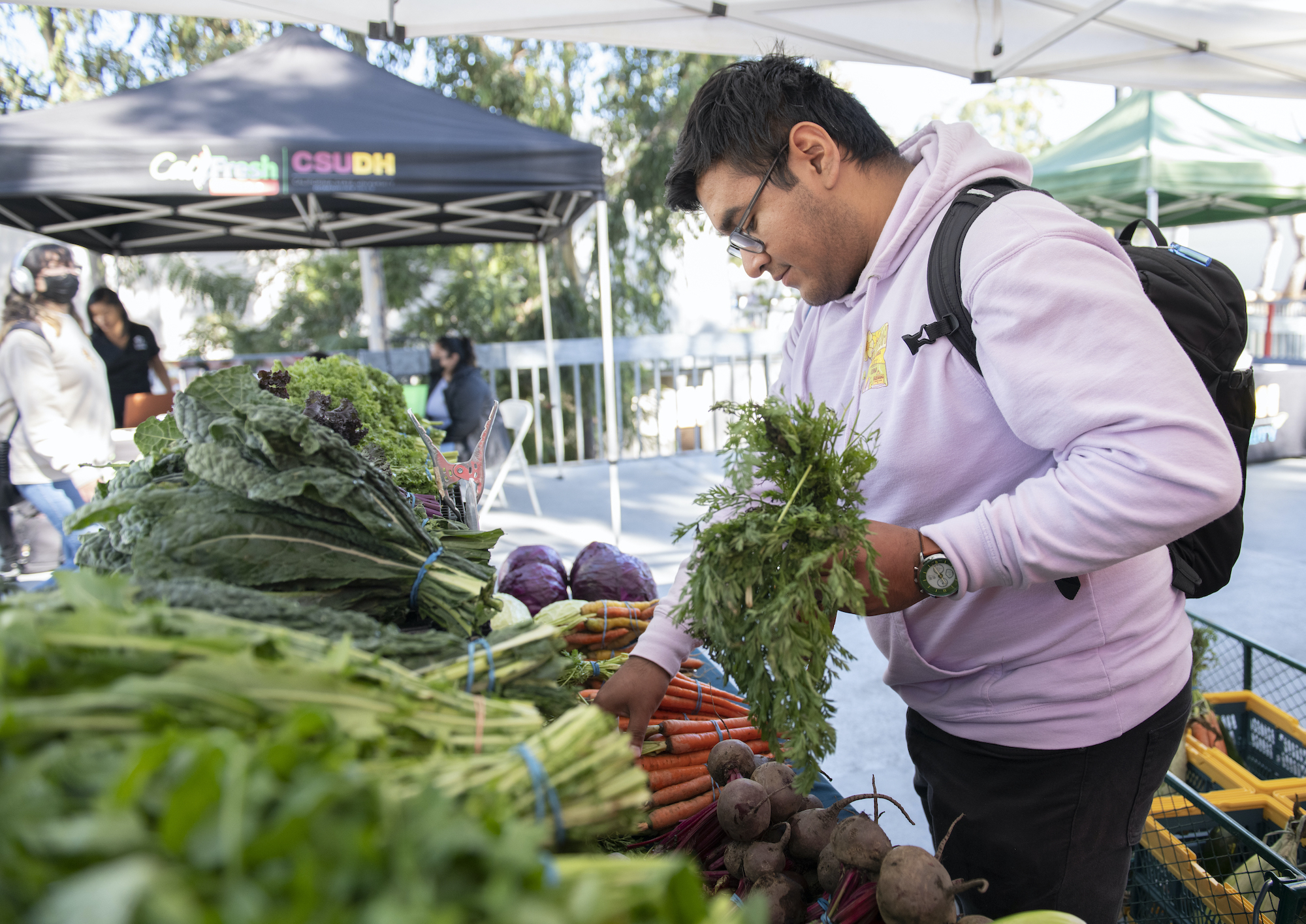 CSU Dominguez Hills Receives STARS Gold Rating for Sustainability