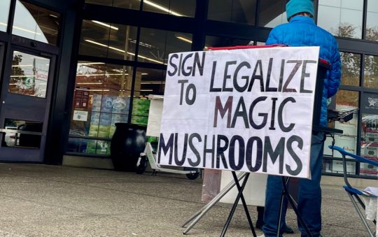 Legislators, Advocates Grapple with Bill Decriminalizing Psychedelics  