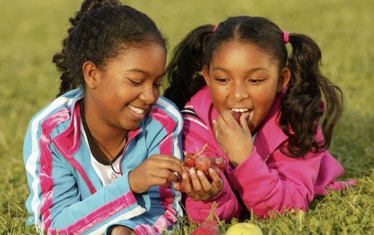 Healthy Snacks and Nutritious Lunch are Critical for Child’s Academic Success