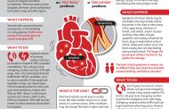 Cardiac Arrest: When the Heart Stops, Save Lives with High-Quality CPR