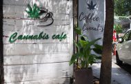 Governor Vetoes Cannabis Café Bill  