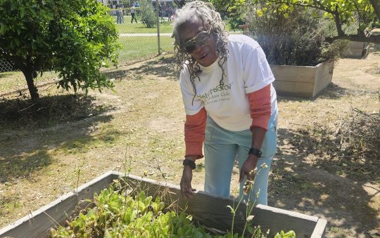 NaturaGrow Joins Earth Day Celebration at Augustus F. Hawkins Nature Park