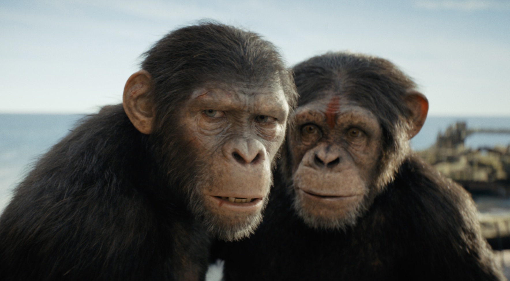 ‘Kingdom of the Planet of the Apes’ – A New Generation Rises