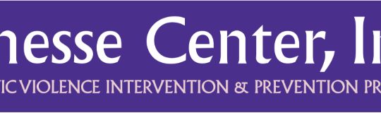 The Impact of VOCA Budget Cuts on Jenesse Center, Survivors of Domestic Violence, and the Community 