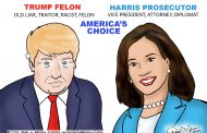 David G. Brown Weekly Cartoon