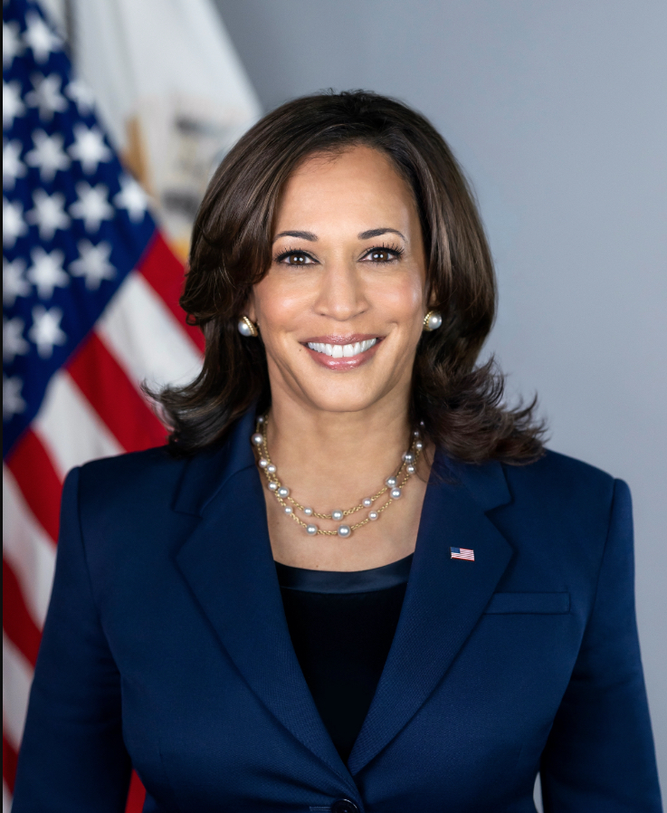 OUCH! This One Really Hurts.   Vice President Kamala Harris Loses Her Bid to be America’s First Female President