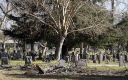 Octavia Butler Imagined L.A. Ravaged by Fires. Her Altadena Cemetery Survived