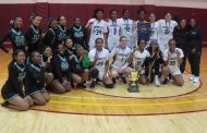 Hamilton Defeats Westchester in Girls City Section Open Division Final